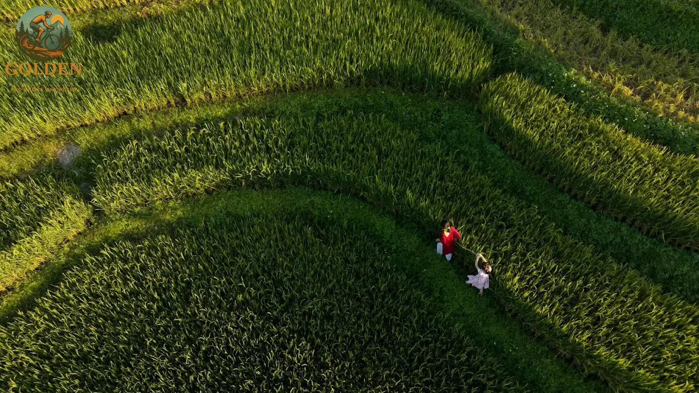 3-Day Thai Nguyen Backroad Cycling Tour: Ban Ten, Tea Hills & Nui Coc